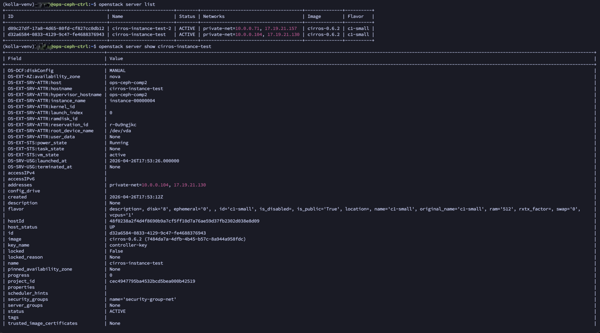 OpenStack Server List and Details